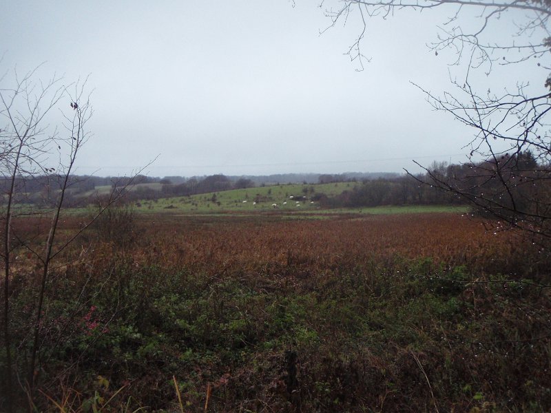 Bungsberg-CTF 045